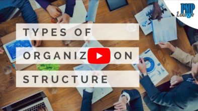 Project Management Organizational Structures (Part 2) - Project Victories