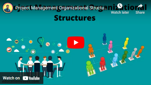 project management organizational structures